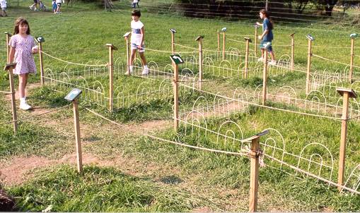 Arrow Maze, Howell Farm, 1999